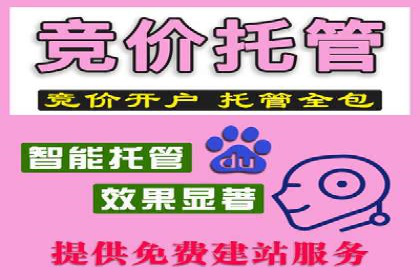 百度竞价账户管理工具推荐：实战案例与使用技巧